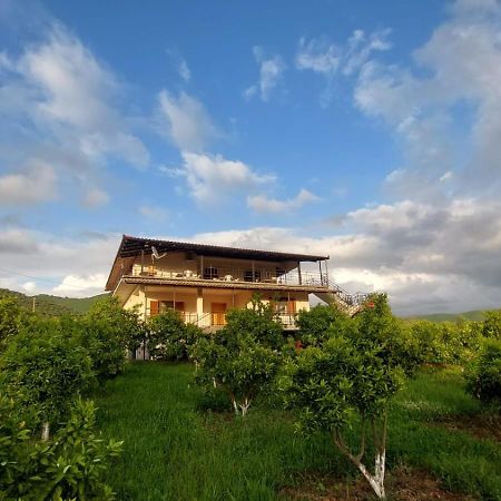 Guest House Xhaferaj Berat Kültér fotó