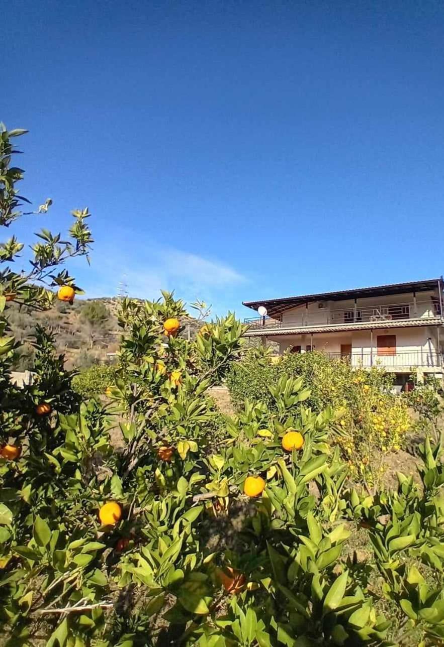 Guest House Xhaferaj Berat Kültér fotó